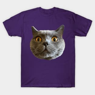 Chartreux T-Shirt